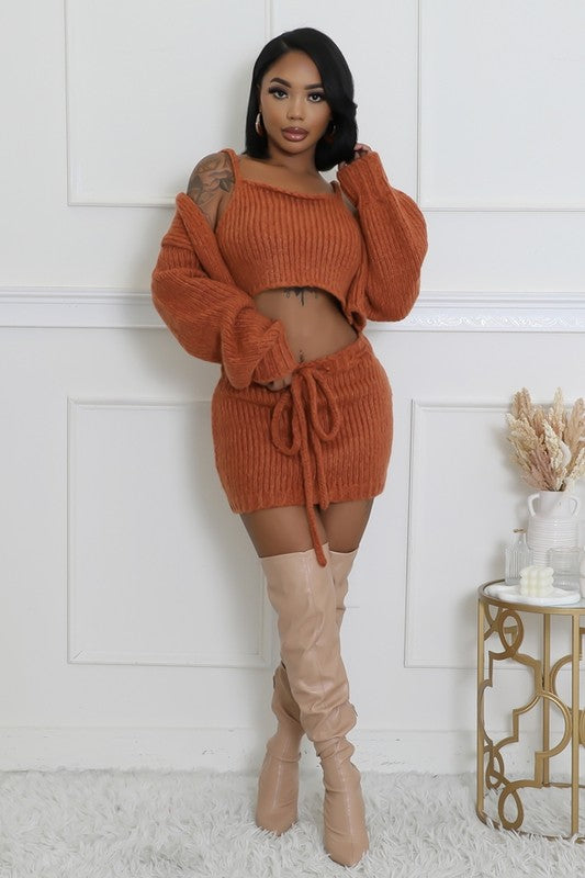 Knit Me Baby One More 3-Piece Knit Cardigan, Cropped Top & Skirt Set In Rust