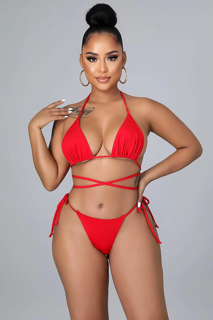 Tankini With a Skirt: Oasis Delight 3 Piece
